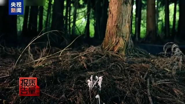 紧急通告：禁止到这一网红地游玩！