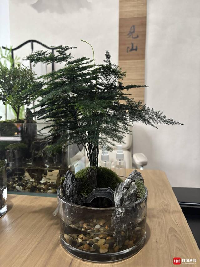 一年卖到8000万，这届年轻人开始流行养“山水”？｜有点意思·成都经济一线观察