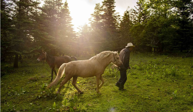 润盐古都 | 盐源，你的“盐”到底藏哪里了？
