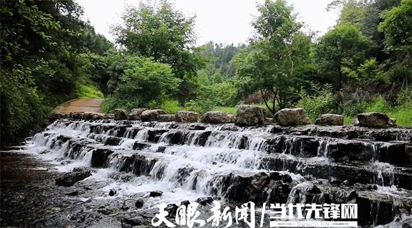 山海同心共谋发展｜广东龙门助力  普安开启茶旅融合发展新篇章