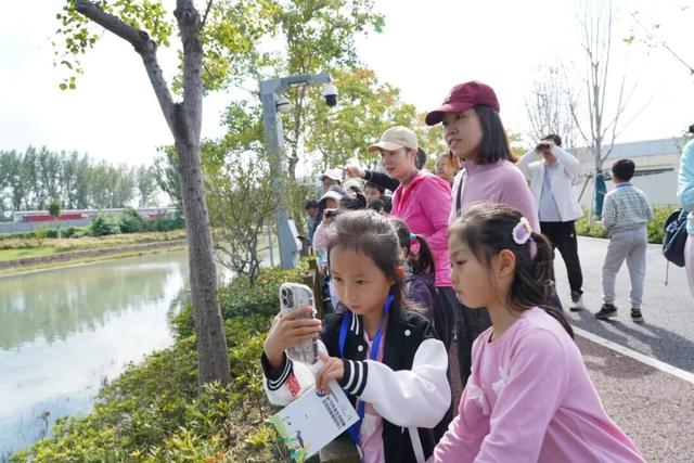 秋日限定“色卡”！来长宁“郊野公园”免费漫步赏景→