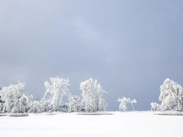 悦·遵义 | 冬游播州——约会太阳坪，冰雪暖世界