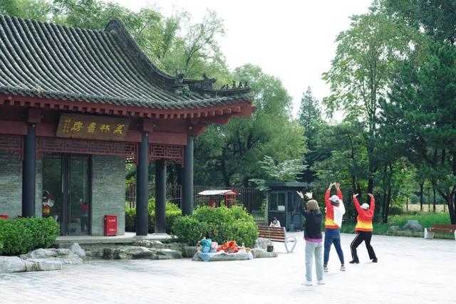 家门口的“诗与远方”！石景山这个宝藏公园更新开放