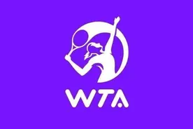 WTA年终单打冠军奖金为250万美元，略高于ATP年终单打冠军奖金图片