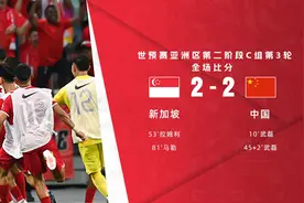 世预赛-中国连丢两球2-2新加坡 武磊双响+失点费南多屡造威胁图片