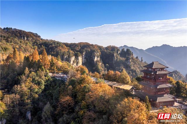 【每日一图@湖南】张家界暖冬限定！天子山暖阳沐峰林