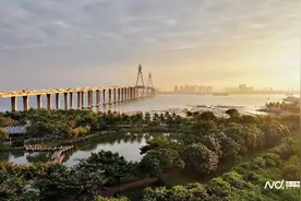 今日起，湛江海湾大桥免费通行！这位省人大代表曾提建桥议案图片