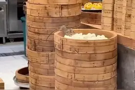 老鼠在陶陶居后厨啃包子？广州市监部门回应→图片