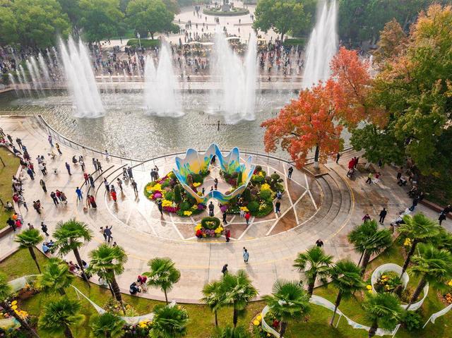 来打卡吧！江汉关前，万盆秋菊演绎“时尚绽放”