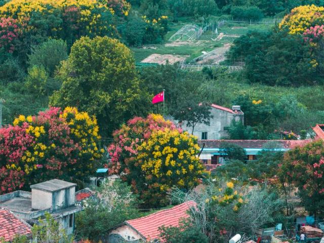 葛店这条“黄金大道”再不看就晚了！