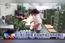 “小菜篮”里装着“大民生” 面对菜价波动 多地出实招守护“菜篮子”图片