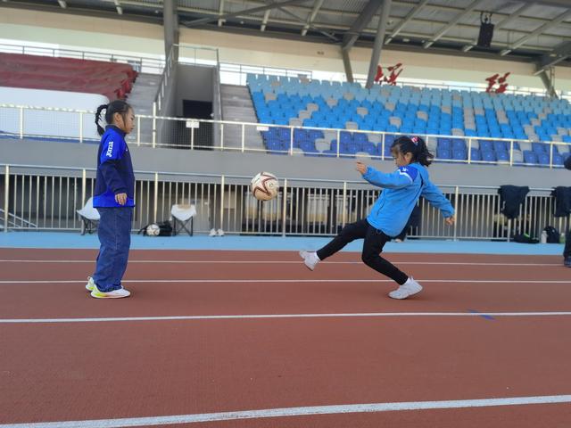 冬日青岛“追鸥逐浪”的N种可能