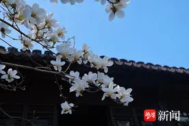 无锡这座有些“神秘”的园子，“限时开放”图片