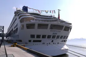 首届上海国际邮轮节，三艘邮轮来沪停靠，游客可免费上邮轮图片