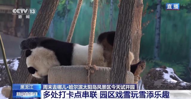 景区银装素裹 雪场改造升级 多样活动让你畅玩冰雪季