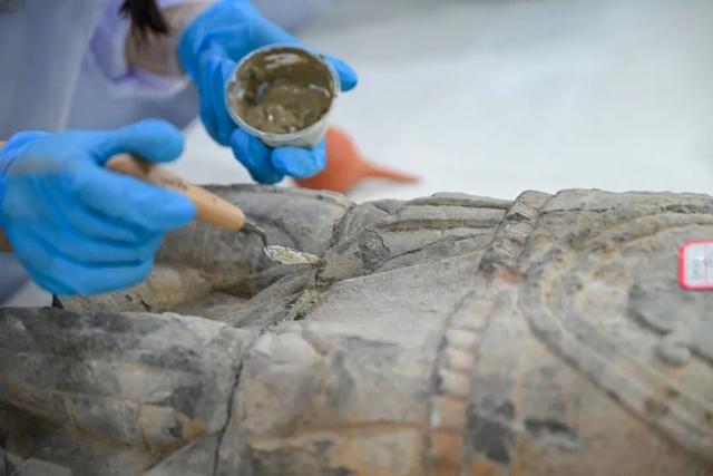 共祝申遗成功25周年 | 四大景区携手联动——龙门石窟