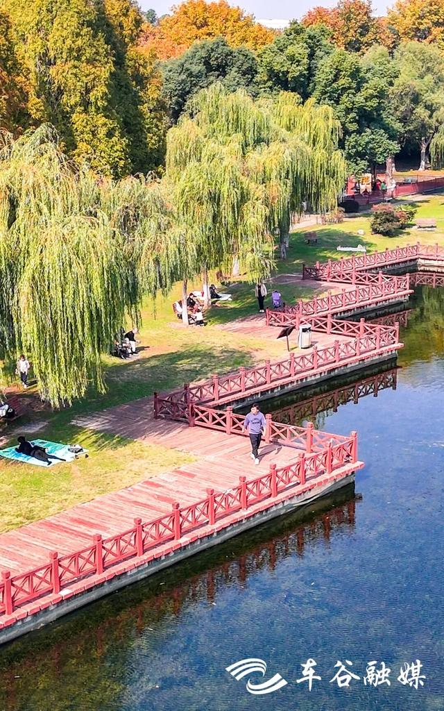 橙黄橘绿时 武汉经开区斑斓如画