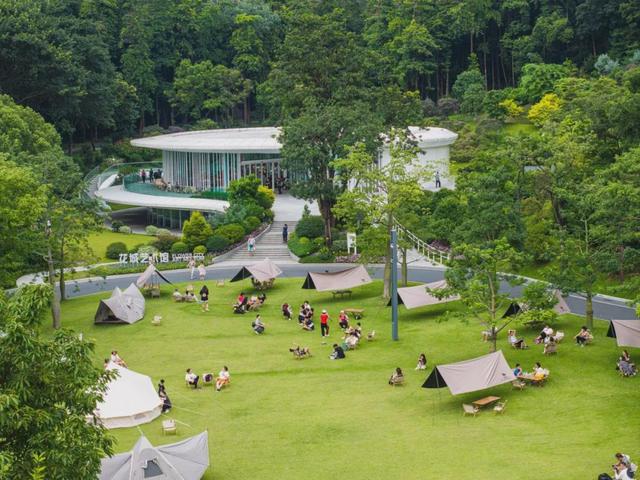 绿美云山丨以森林入药 漫享云山身心疗愈