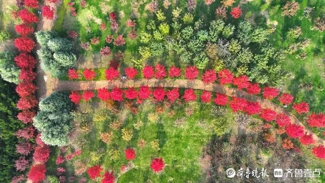 邂逅浪漫秋光，济南市多家公园景区秋色已备好
