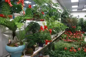 梅雨季的“除湿好物”，你拥有了吗？图片