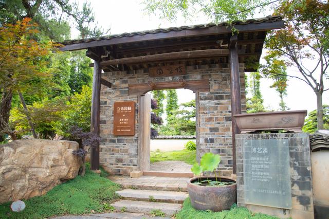 看烟花、观花海、造微缩园林......去柏加镇感受8种趣味玩法