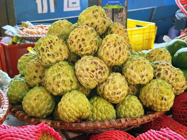 天生多彩丨跑盟马，解锁防城港的多巴胺 “人设”