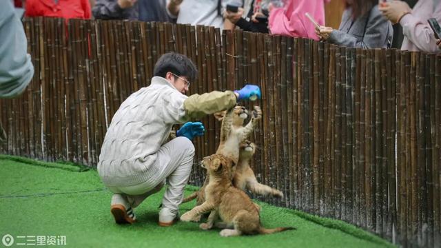 免门票!邀您共赴瀛湖,畅游冬日水墨画卷