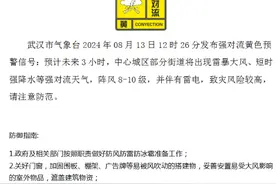刚刚武汉打雷了！10级大风，强对流天气图片