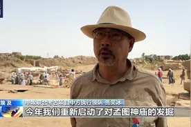 中埃联合考古队重启考古发掘工作 成果丰硕图片