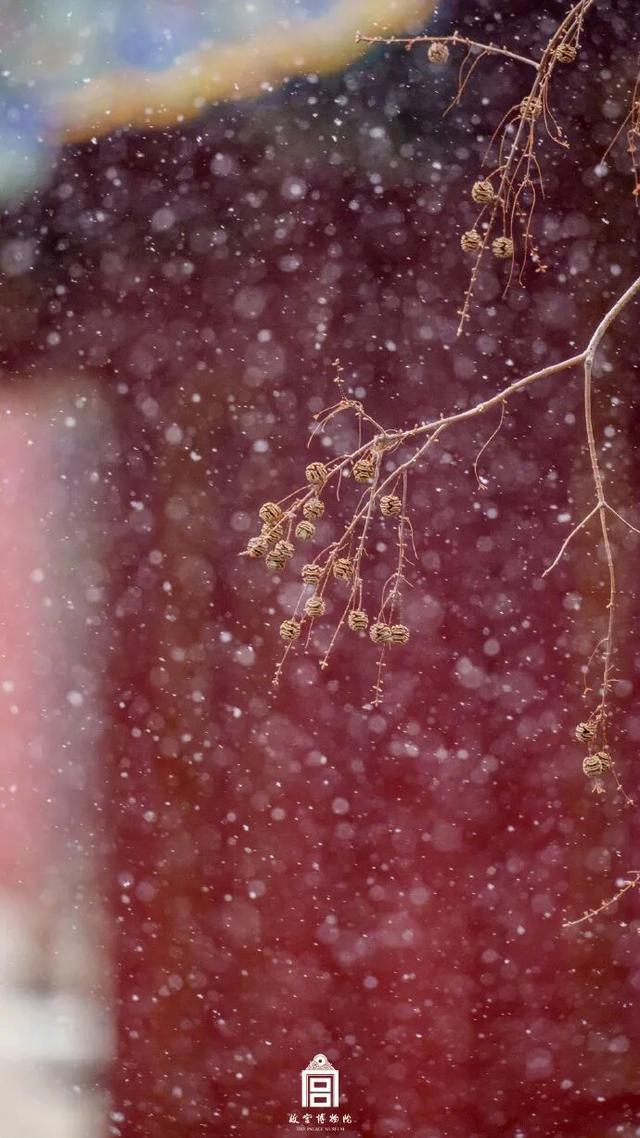 周末，他们涌向故宫，只为一件事