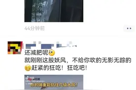 10级大风！阜阳预警升级！图片