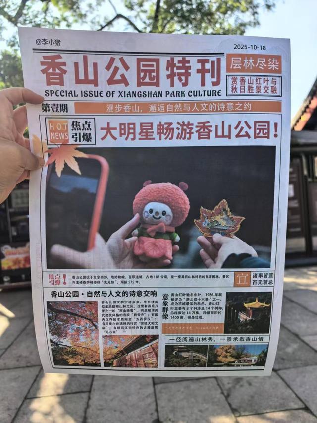 红叶今年红得晚！现在去香山赏彩叶，推荐去这几处点位