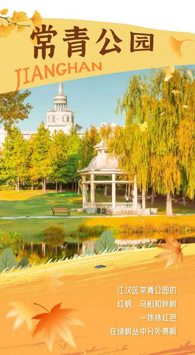 在江汉，听见公园里的秋色私语