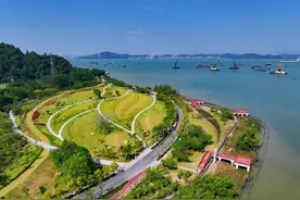 冷空气接连到货，广州天气凉爽宜人图片