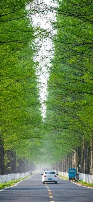 浙江这两条线路入选中国公路学会“2025年度自驾游精品线路”，一起来关注！