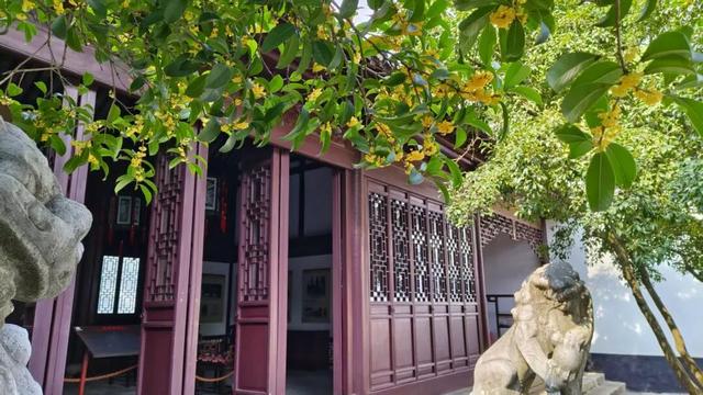 上海这个公园的桂花终于开了！还有10000+彩菊飘香→