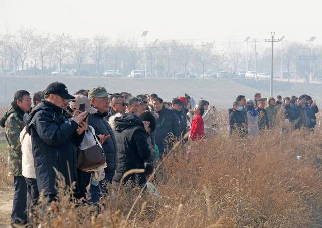 市民自驾打卡“天鹅湿地”