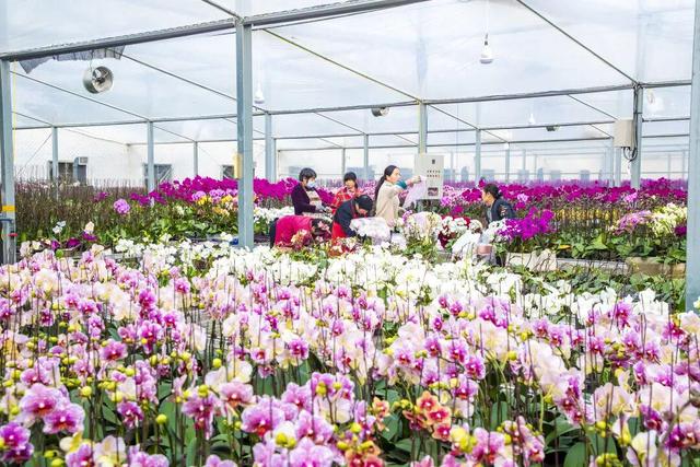 来宿城，寻你“乡”见的秋