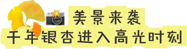 央视报道！就是现在！最佳赏叶期！还有玩法大升级……