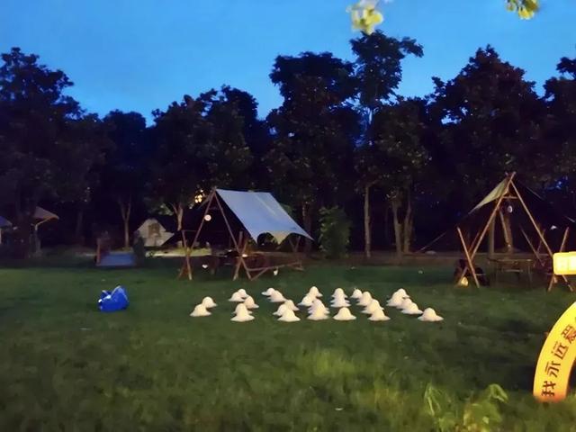 夺冠后，泰州官宣：全球免费！