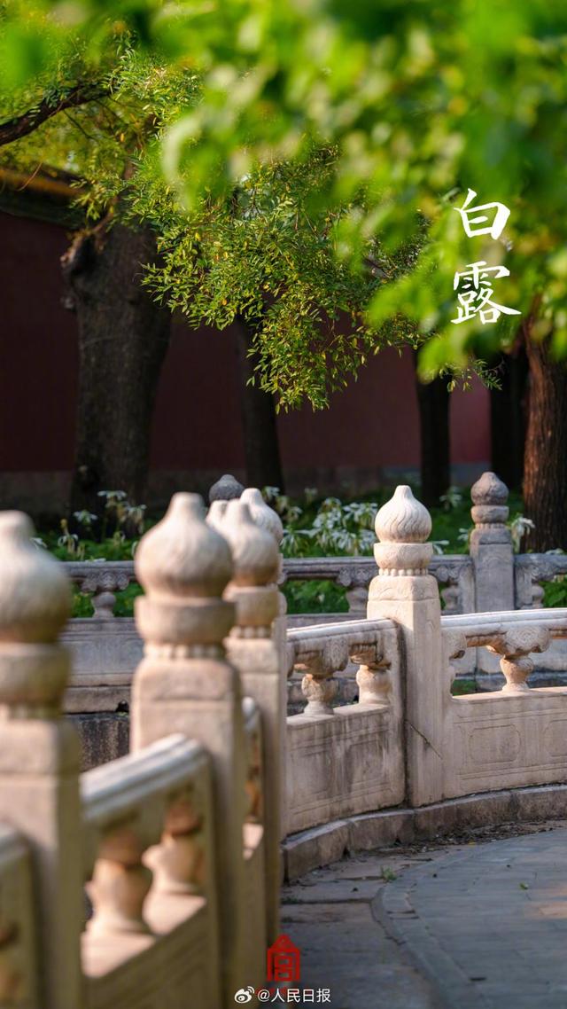 转存收藏！故宫节气图张张都是壁纸