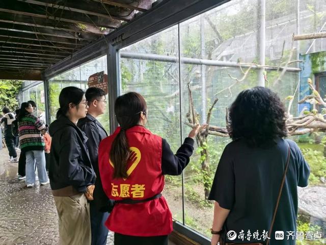 化雨为景 暖意融城，济南野生动物世界让假期体验更温暖