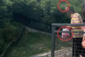 太过分！男子竟然给大连森林动物园的黑熊投喂……图片