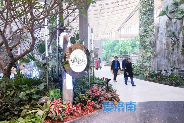 鹊华中新园特色景观引游人争相打卡