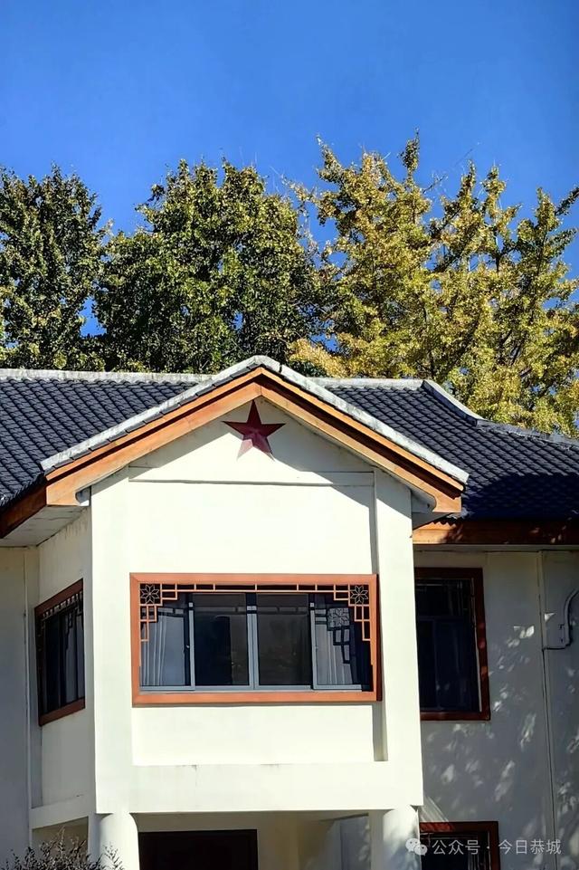 拥有一把会“悬浮”的“银杏伞”，刷爆你的朋友圈