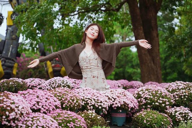 门票免费送！里水百亩花海上新！拍照遛娃圣地→