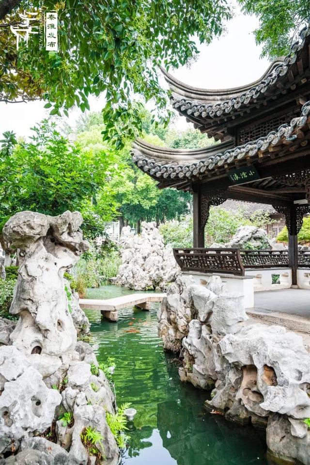 秦淮citywalk｜夏日寻凉之愚园