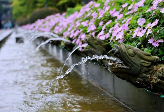 【拾光】岷江水润天府，都江堰铭千秋