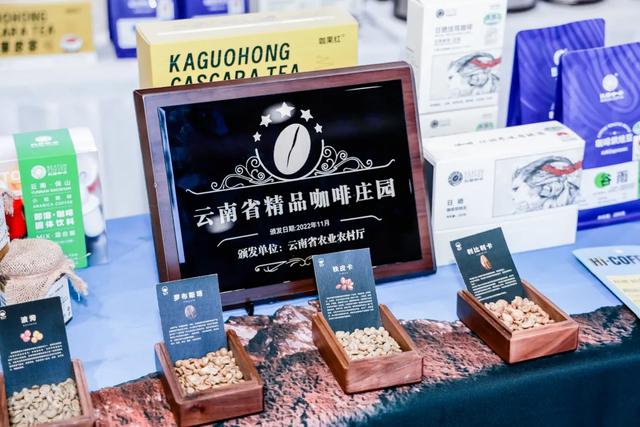 拿捏闵行潮流玩法！这些主题线路承包你的假期
