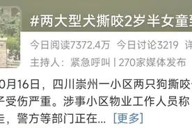 揪心！幼童遭狗撕咬伤！创伤暴露后，这两点一个都不能少→图片